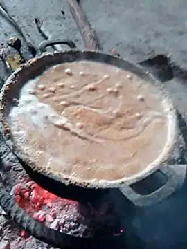 Monkey-0d online show from 8, 1, 2026