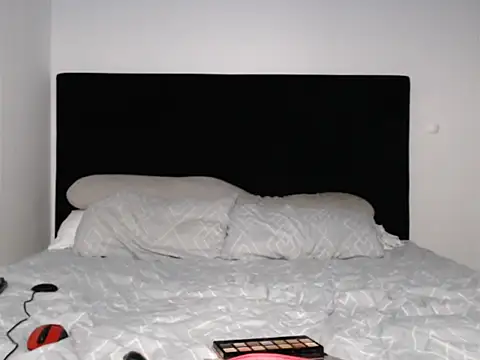 wwwdddccc1 online show from 19, 11, 2025