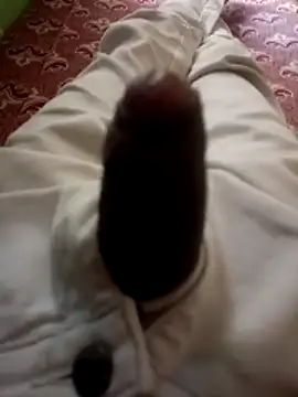 kumarstelugu online show from 19, 12, 2025