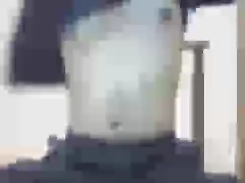 nick2445 online show from 22, 3, 2026