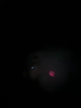 Paapii1098 online show from 15, 3, 2026