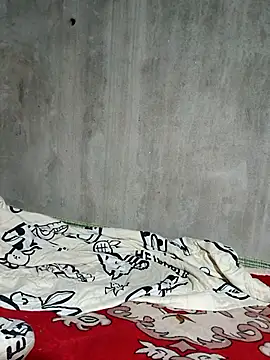 Bear bear0 online show from 11, 11, 2025