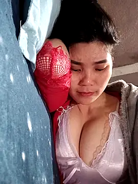 Bear bear0 online show from 9, 3, 2026