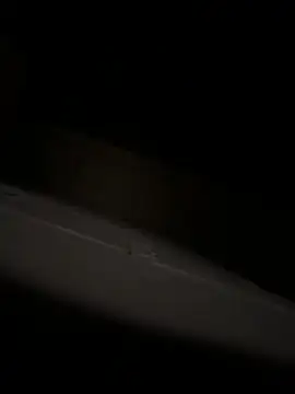 bart98geil online show from 6, 4, 2026