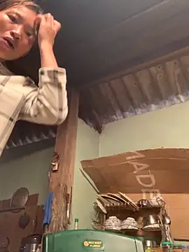 sowbibi online show from 1, 11, 2025