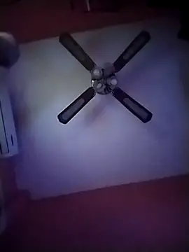 Danii2005 online show from 12, 11, 2025