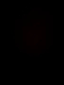 Snapshot of Chripish chatting on 4, 11, 2025 Chripish online show from 4, 11, 2025