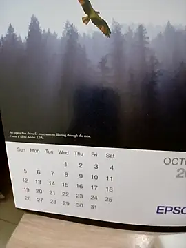 Snapshot of Kolkatacock06 chatting on 24, 10, 2025 Kolkatacock06 online show from 24, 10, 2025