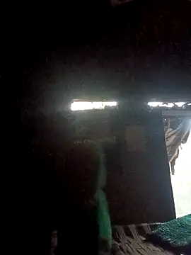 QRANSEXI online show from 26, 11, 2025