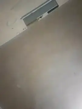 Snapshot of TuFlapito chatting on 25, 10, 2025 TuFlapito online show from 25, 10, 2025