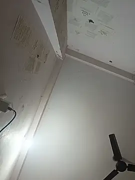 Snapshot of indoregigolo chatting on 29, 10, 2025 indoregigolo online show from 29, 10, 2025