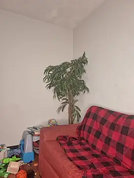 Snapshot of SweetieP11 chatting on 3, 11, 2025 SweetieP11 online show from 3, 11, 2025