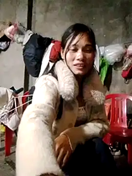 doggy-00 online show from 12, 2, 2026