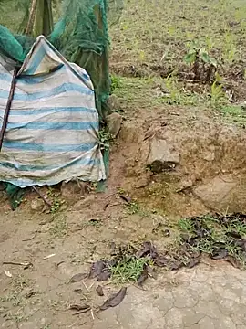 doggy-00 online show from 16, 4, 2026