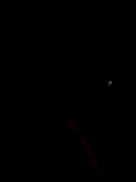 bella-la online show from 15, 1, 2026