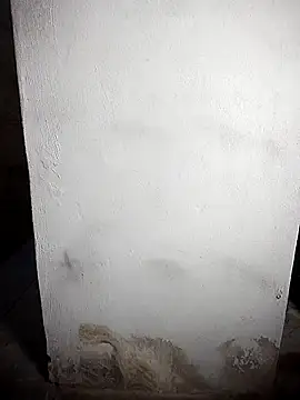 BD 228 online show from 19, 2, 2026