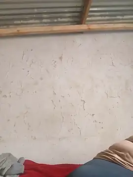 3bigcuteness online show from 14, 11, 2025