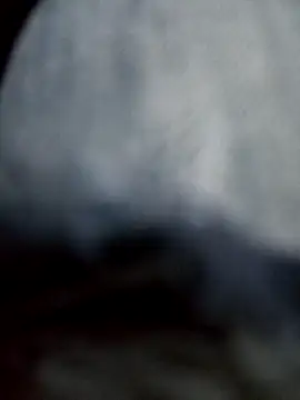 negro2828 online show from 27, 10, 2025