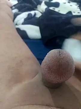 Ayoub ben27 online show from 8, 11, 2025