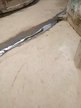 Pandey0012 online show from 28, 10, 2025