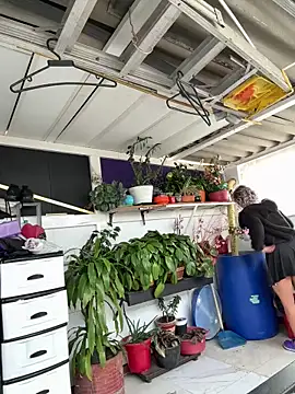 99 natalia online show from 29, 10, 2025