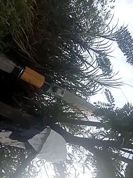 Snapshot of Camila-Valverde chatting on 31, 1, 2026 Camila-Valverde online show from 31, 1, 2026