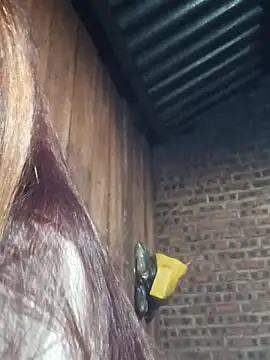 Snapshot of HGiasexy69 chatting on 2, 11, 2025 HGiasexy69 online show from 2, 11, 2025