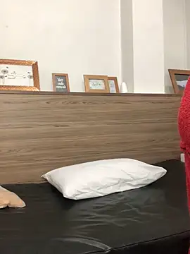 Veka Litox online show from 1, 11, 2025