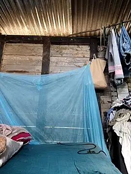 Soymaia online show from 19, 1, 2026