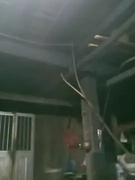 matbiec- online show from 19, 11, 2025