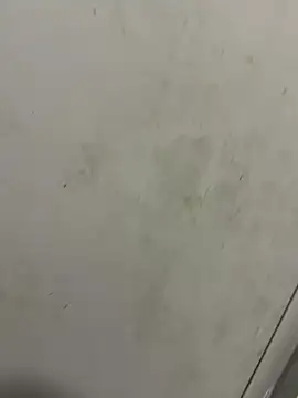 Snapshot of Isamperry69 chatting on 31, 10, 2025 Isamperry69 online show from 31, 10, 2025