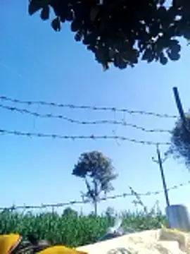 Sangita k online show from 20, 12, 2025