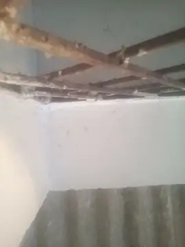 Pallu Asha online show from 15, 3, 2026