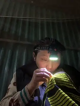 bi-bo123 online show from 16, 11, 2025