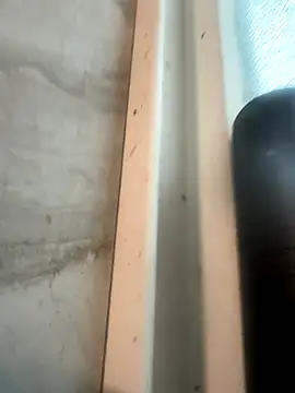 RobsBigD online show from 30, 10, 2025