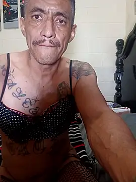 Innsacianle online show from 20, 2, 2026