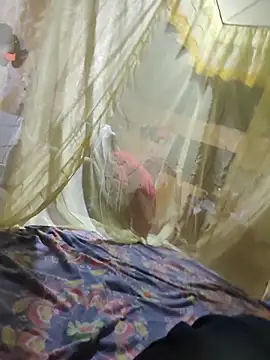 taylor1991V online show from 24, 11, 2025