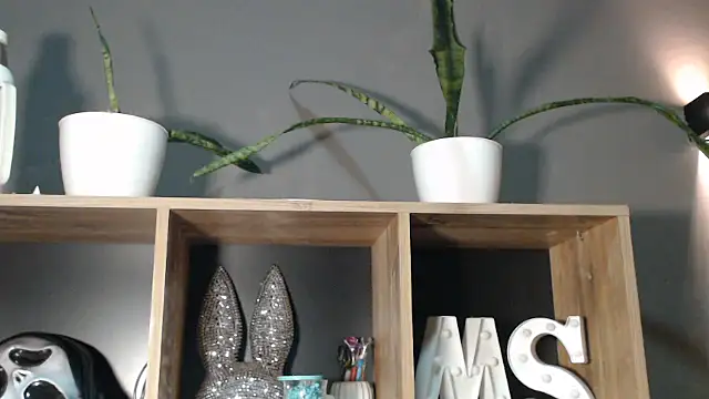 mickystrumia23 online show from 6, 1, 2026