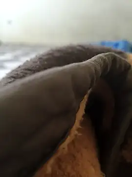 Realverse online show from 5, 11, 2025