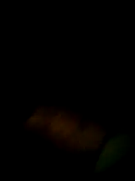 Yerackhip online show from 9, 3, 2026