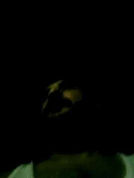 Yerackhip online show from 24, 3, 2026