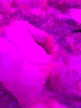 PitoDuroWuero online show from 27, 11, 2025