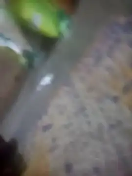 Jooli cuty online show from 11, 11, 2025