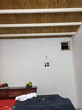 meliodas 23cm online show from 15, 1, 2026