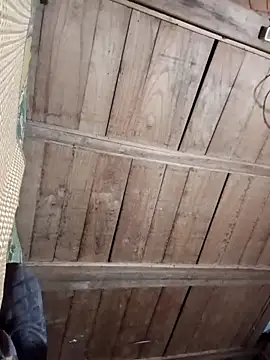 Bee-bgolden online show from 27, 11, 2025