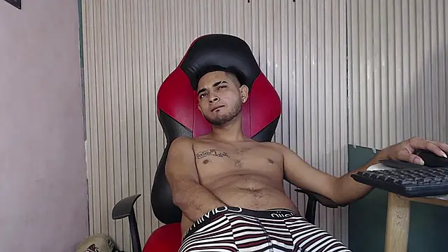 Cat 2  online show from 8, 11, 2025