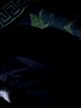 Darkkknet online show from 9, 11, 2025