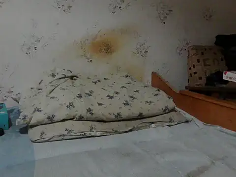 Kreol69 online show from 24, 11, 2025