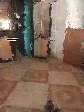 7obi 7obi online show from 21, 11, 2025