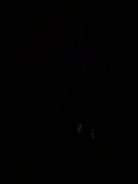 Snapshot of Santos229 chatting on 2, 2, 2026 Santos229 online show from 2, 2, 2026